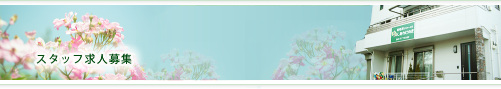 �f�C�T�[�r�X�u�����킹�̂��v�@�X�^�b�t���l��W